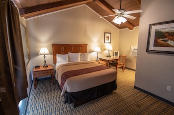 Room, 1 Queen Bed