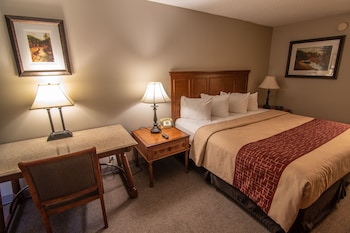 Room, 1 King Bed
