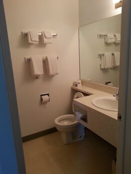 Room, 1 King Bed