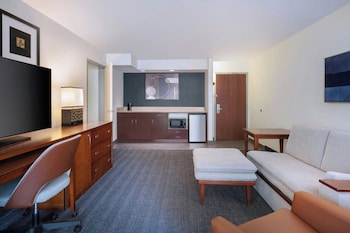 Suite, 1 King Bed with Sofa bed