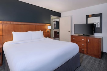 Suite, 1 King Bed with Sofa bed