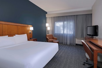 Room, 1 King Bed, Hearing Accessible (Roll-in Shower)