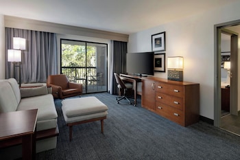 Suite, 1 King Bed with Sofa bed