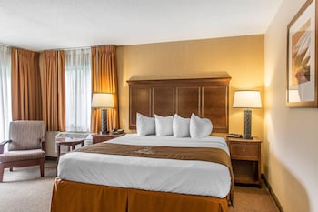 Lakeside Superior Room, 1 King bed