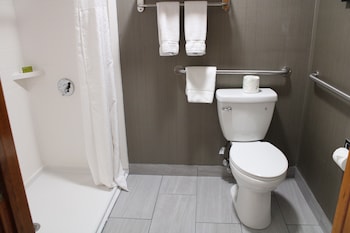 Deluxe Room, 1 King Bed, Non Smoking (Roll-In Shower)
