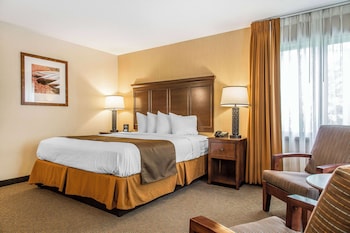 Non Lakeside Superior Room, 1 King bed