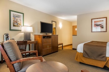 Non Lakeside Superior Room, 1 King bed
