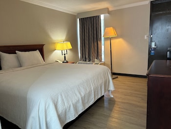 Room, 1 King Bed, Non Smoking