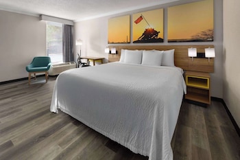 Room, 1 King Bed, Smoking