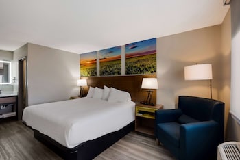Standard Room, 1 Queen Bed