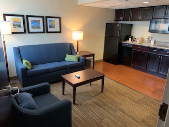 Suite, 1 King Bed with Sofa bed, Non Smoking