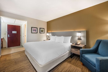 Standard Room, 1 King Bed, Non Smoking