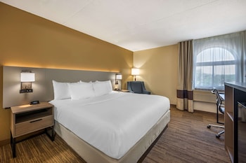 Standard Room, 1 King Bed, Non Smoking