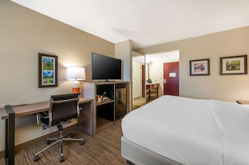 Standard Room, 1 King Bed, Non Smoking