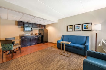 Suite, 1 King Bed with Sofa bed, Non Smoking