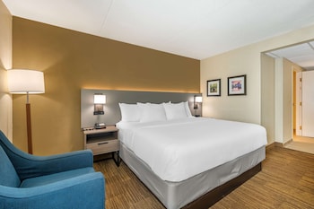 Room, 1 King Bed, Accessible, Non Smoking