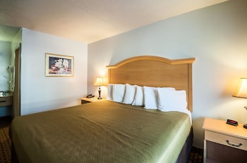 Standard Room, 1 King Bed, Smoking