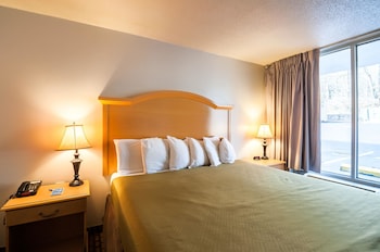 Standard Room, 1 King Bed, Smoking