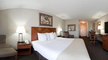 Premium Room, 1 King Bed, Jetted Tub