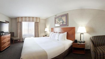 Premium Room, 1 King Bed, Accessible Bathtub (Communications)