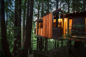 Tree House