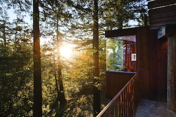Tree House