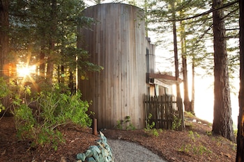 Upper Coast House Tree & Ocean View