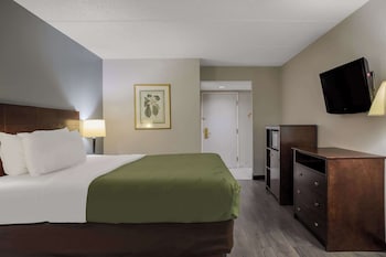 Standard Room, 1 King Bed, Non Smoking