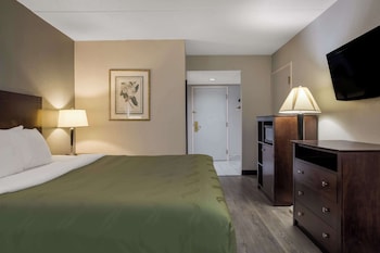Room, 1 King Bed, Accessible, Non Smoking