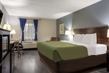 Standard Room, 1 King Bed, Non Smoking