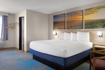 Standard Room, 1 King Bed