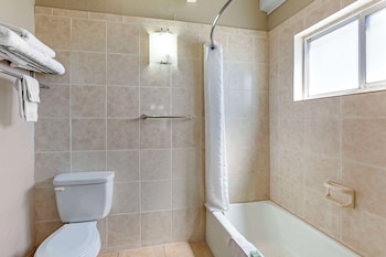 Standard Room, 1 King Bed, Non Smoking, Refrigerator & Microwave (Pet Friendly)