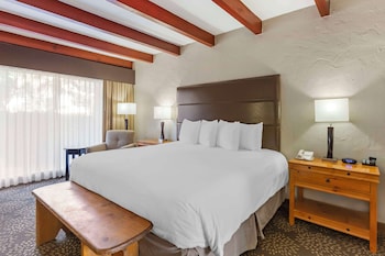 Standard Room, 1 King Bed, Non Smoking, Refrigerator & Microwave (Pet Friendly)