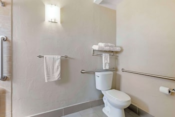 Standard Room, 1 King Bed, Accessible, Non Smoking