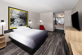 Room, 1 Queen Bed, Non Smoking