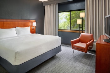 Suite, 1 King Bed with Sofa bed