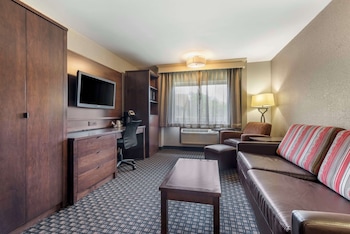 Suite, 1 King Bed, Non Smoking, Refrigerator & Microwave (with Sofabed)
