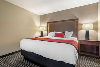 Suite, 1 King Bed, Non Smoking, Refrigerator & Microwave (with Sofabed)
