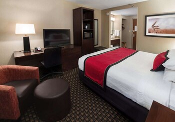 Standard Room, 1 King Bed, Accessible, Non Smoking