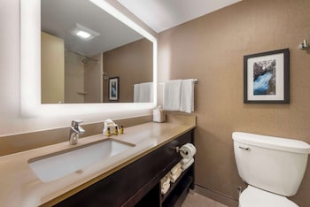 Suite, 1 King Bed, Non Smoking, Refrigerator & Microwave (with Sofabed)