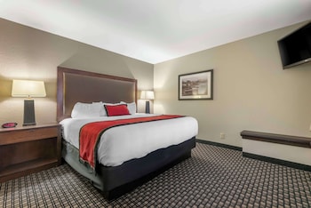 Suite, 1 King Bed, Non Smoking, Refrigerator & Microwave (with Sofabed)