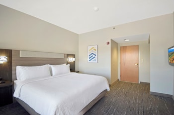 Standard Room, 1 King Bed (Mobility, Roll-In Shower)