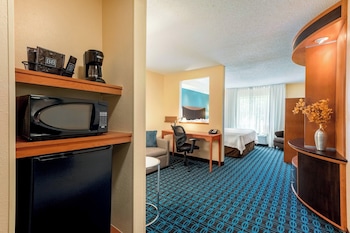 Studio, 1 King Bed with Sofa bed, Hearing Accessible (Accessible Bathtub)