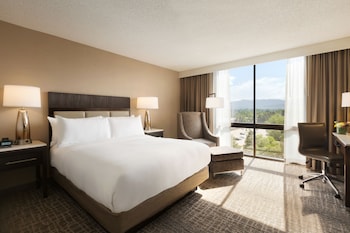 Deluxe, One King Bed, Mountain View
