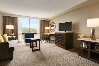 Deluxe, One King Bed, Mountain View