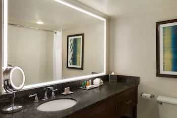 Deluxe, One King Bed, Mountain View