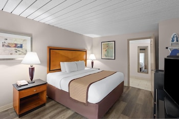Room, 1 King Bed, Non Smoking