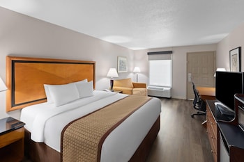 Deluxe Room, 1 King Bed, Non Smoking