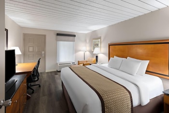 Room, 1 King Bed, Accessible, Non Smoking (Mobility)
