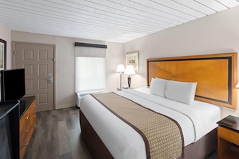 Room, 1 King Bed, Non Smoking